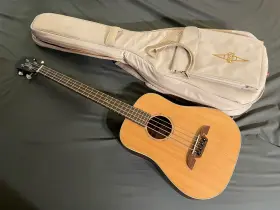 Msb1 Alvarez Small Acoustic Electric Four String Bass Guitar Local Pick Up