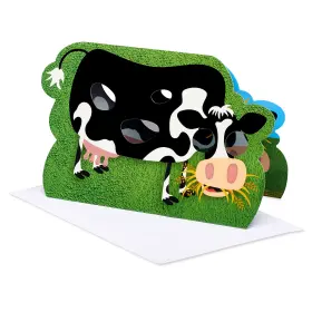 6956142 American Greetings Funny Birthday Card Holy Cow