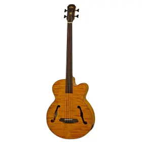 Feb-f2 Aria Feb-f3 Feb-f2/fl Electro Acoustic Bass Full Sized