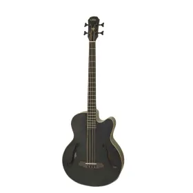 Fet-f2m Aria Electro Acoustic Bass