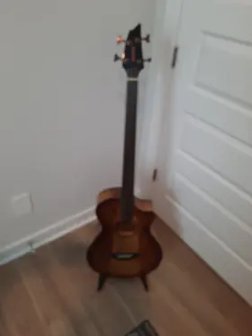 Psco49bcemymy Breedlove Pursuit Exotic S Ce Concerto Acoustic-electric Bass Amber Burst