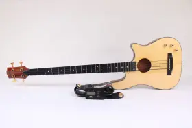 Ac-40 Carvin 4-string Electric Bass Guitar