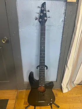 Ac-50 Carvin Ac50 5 String Bass