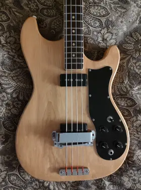 Sb60 Carvin Bass Guitar