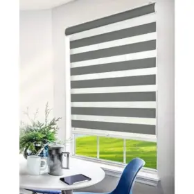 Chicology 812030037921 Zebra Roller Shades Room Darkening Gray 46 W X 72 H Dual Layer L
