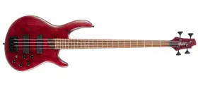 Cort 809625368623 Professional 4-string Bass Guitar - Burgundy Red