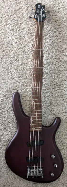 Cort5st.bass Cort 5 String Bass With Offset Pickup In A Satin Natural Finish - As-is -project