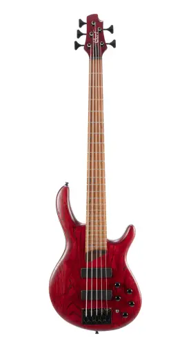 Cort Guitars 809625368685 B5elementopbr Artisan Series B5 Element 5 String Bass Guitar. Open Pore