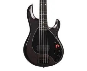 Ernie Ball 749699123569 Music Man Dark Ray 5-string Bass Guitar - Rainbow Open Box