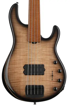 245-sbp-sru-00-mb-b1 Ernie Ball Music Man Bfr Stingray Special 5 H Fretless Bass Guitar - Anthracite