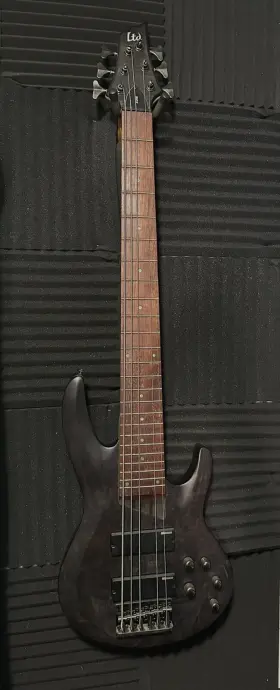 B206 Esp Ltd 6 String Bass Guitar - See Thru Black Satin