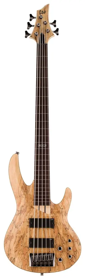 B-205sm Esp Guitars 306676 Ltd Fl Fretless Spalted Maple 5-string Bass Guitar Natural Satin