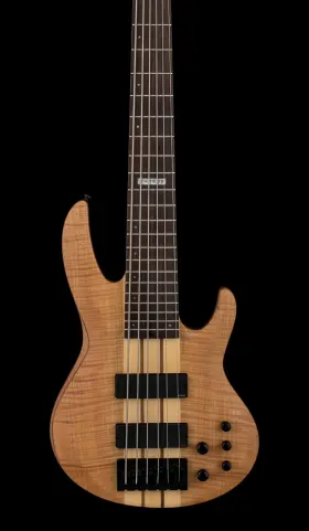 B-1006 Esp Ltd 2009 - Natural #30620 With Hard Case