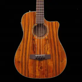 0953300221 Fender Victor Bailey Signature Acoustic Bass Natural Tkl Hardshell Case