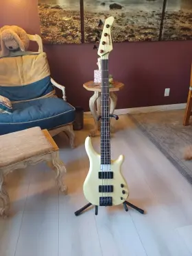 Fbr55 Fernandes