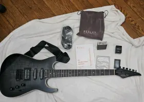 Fdk800 Fesley Fdk 800 Electric Guitar