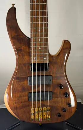Ggi-5 G. Gould Ggi5 5-string Bass Guitar Graphite Neck