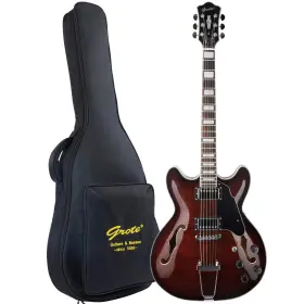 Gt335-02 Grote Spot Goods Glossy Hollow Body Electric Guitar 335 Brown With Bag