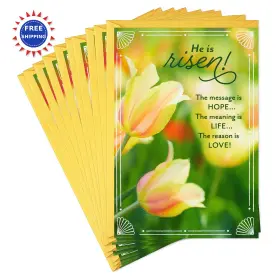 799eaa4113 Hallmark Religious Easter Cards He Is Risen 10 Pack Dayspring Envelopes Vehicle Auto
