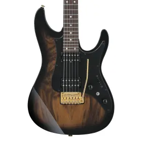Az41p1ew Ibanez 549763377050 Az Premium Electric Guitar With Bag - Natural Gray Burst