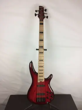 Anb205twb Ibanez Excellent Anb205 Adam Nitti Signature 5-string Bass Guitar Maple Fingerb