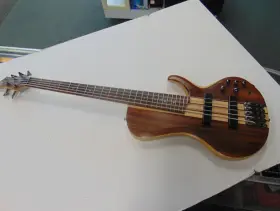 Btb685sc Ibanez 5 String Electric Bass With Case