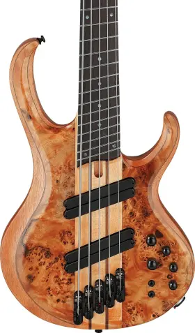 Btb805msfnl Ibanez Bass Workshop Btb805ms 5-string Guitar - Florid Natural Low Gloss