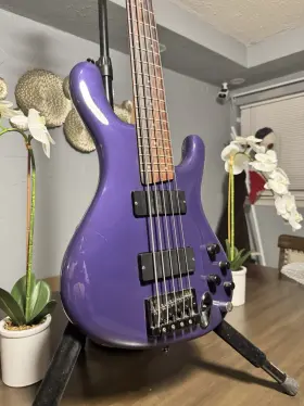 Ebd405 Ibanez Edb405 Mik Ergodyne Purple 5 Strings