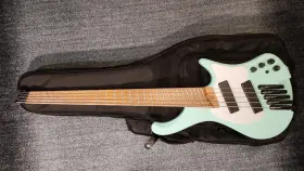 Ehb1005mssfm Ibanez Ehb1005ms 5-string Bass Seafoam Green Matte With Custom Pick Guard