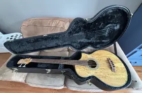 Ibanez Ewb20sme Acoustic Electric Bass - Exotic Wood With Hard Case Used Good Condition