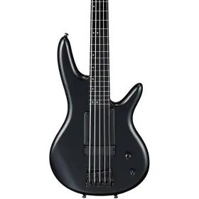 Gwb35bkf Ibanez Gwb35 Gary Willis Signature Fretless 5-string Bass Flat Black