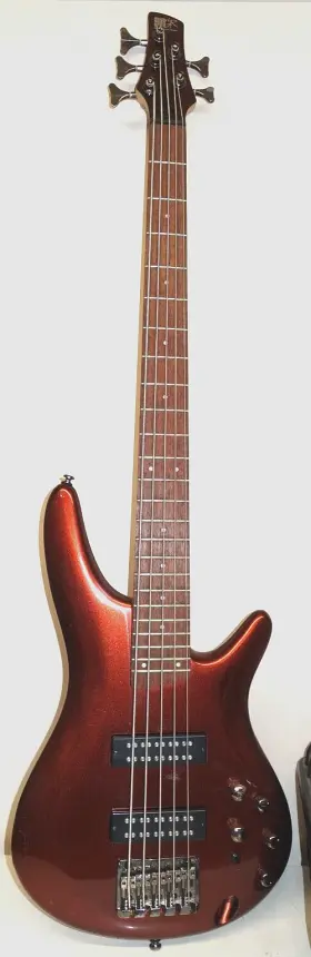 Sr305-sdgr Ibanez Sdgr By Sr305e Ip-02 5-string Electric Bass Guitar Metallic