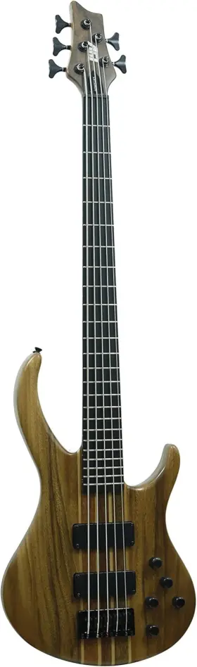 Ibw-550 Ivy Iyv 5 String Bass Solid-body Electric Guitar Natural