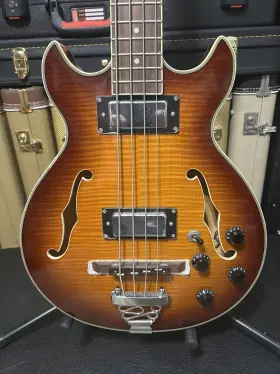 Jtb-134 Jay Turser Semi Hollow Bass Guitar