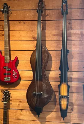 Cwdb-2401 Kinglos Electric Double Bass - Upright Model Cwdb 2401 Muse Design Award