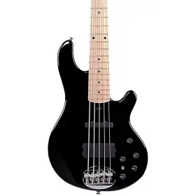 Lakland 810401010306 Skyline 55-02 5-string Bass Black Maple Fretboard
