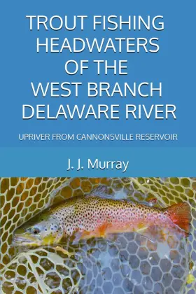 Rkc2012929132 Majosta Trout Fishing Headwaters Of The West Branch Delaware River Upriver From