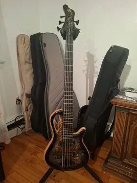 Mayones 825362206293 Caledonius 5 String