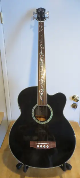 07030326 Michael Kelly Dragonfly 4 Acoustic Fretless Bass - Smoke Burst