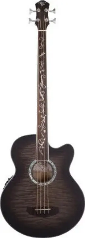 Mkd4fsbsfr Michael Kelly Guitar Co. Dragonfly 4 Fretless - Acoustic Bass With Smoke Burst Finish