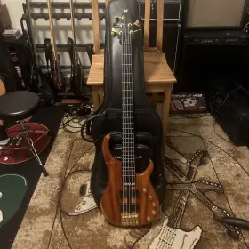 Quantum-5 Modulus Usa Quantum 5-strings Bass Emg Pickups With Rare Gig Bag