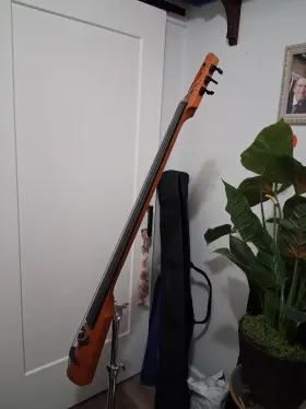 Nscr5bgchs Ns Design N.s. Designs 5 String Wave Bass With Stand Bag Original Shipping Container