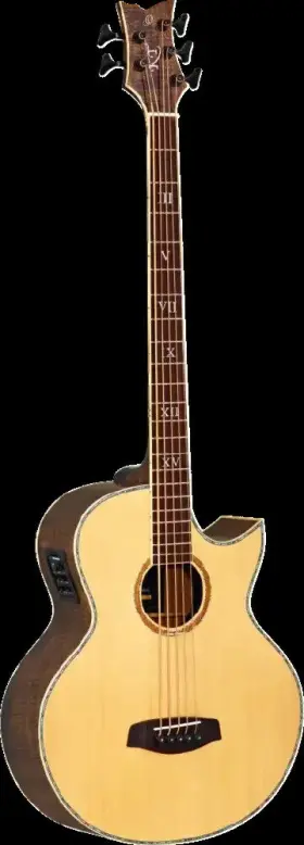 Ktsm-5 Ortega Guitars Ken Taylor Signature Series Long Scale 5-string Acousti