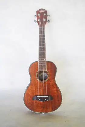 Ou5e Oscar Schmidt Acoustic Electric Ukulele With Eq Gig Bag