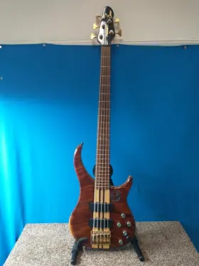 Ap1137775 Peavey 014367021455 Cirrus 5 String Bass