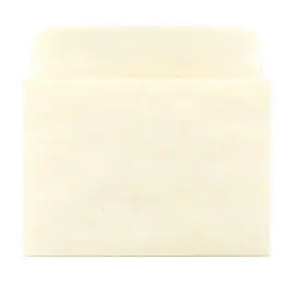 15657 Products Inc. Manila Library Pockets Non-adhesive Pocket Envelopes Made In The Usa