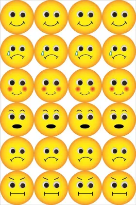 18931 Products Inc. Emotion Stickers - 1 Inch Emoticon Sticker Yellow 480 Pieces 24 Per Sheet 20