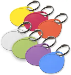 25075 Products Inc. 1-1/4 Inch Label It Plastic Tag 100 Pack Assorted Colors