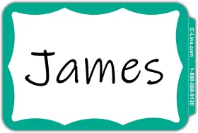 Cli92263 Products Inc. Pressure Sensitive Peel And Stick Name Badges Green Border 3.5 X 2.25 Inches