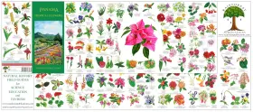Rainforest Publications 781888538434 Panama Tropical Flowers Field Guide Laminated Foldout Pocket Engl